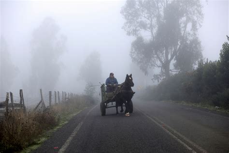 Clima En Chile Temperatura Y Probabilidad De Lluvia Para Temuco Este