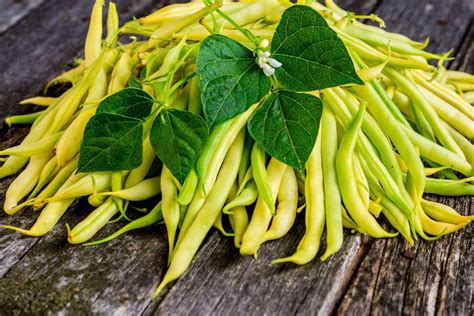 Yellow String Beans