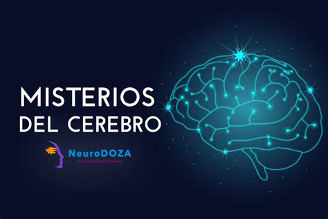 3 Misterios Del Cerebro Que Aún Nos Inquietan Neurodoza