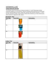 Organic Molecules Lab Data And Analysis 1 3 Docx Lab Assignment 2