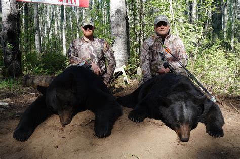 Alberta Canada Black Bear Hunting Whitetail Deer Hunting Moose Hunting