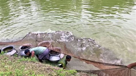 Amazing Big Fish Catching Method Fishermen Are Catching Big Fish In