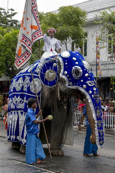 An Elephant Parades Along A Street At Kandy In Sri Lanka During The Day