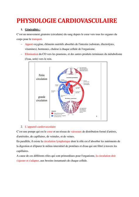 Solution Physiologie Cardiovasculaire Studypool