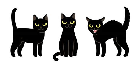 13,900+ Pissed Off Cat Stock Illustrations, Royalty-Free Vector Graphics & Clip Art - iStock