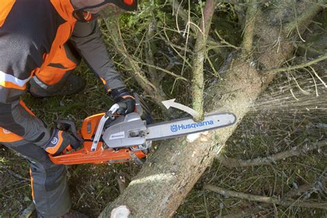 How To Limb A Tree Husqvarna Chainsaw Academy