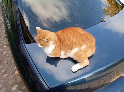 Mobile-review.com TECNO SPARK 5 Air: 5 причин за и 1 против