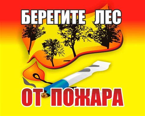 Фото і Картинки «Бережіть ліс»