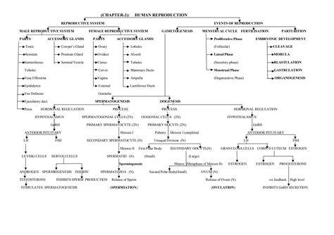 SOLUTION Biology Mindmaps For Neet Quick Revision Studypool