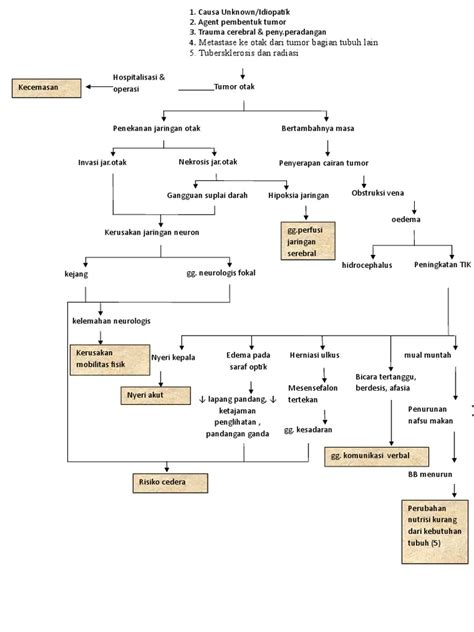 Pathway Tumor Otak New Pdf