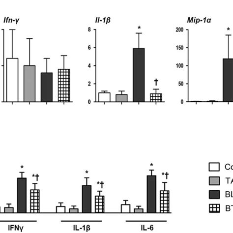 Blm Induced Pro Inflammatory Gene Expression Was Suppressed By Ta