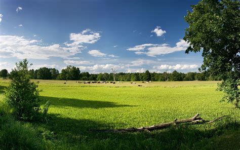 Papel De Parede Panorama Colina Natureza Grama C U Verde