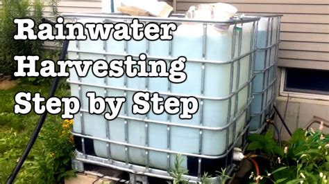 Rainwater Collection Step By Step Installation Of Ibc Totes Youtube