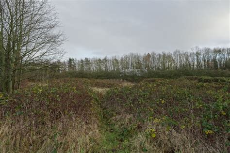 Field Near The A64 DS Pugh Cc By Sa 2 0 Geograph Britain And Ireland