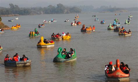 Sukhna Lake Is A Living Entity With Rights Hc Hindustan Times