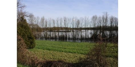 A faire Promenade au Bois de Pontailler sur Saône Randonnée