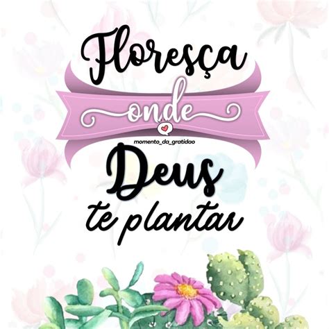 Flores A Onde Deus Te Plantar Arte