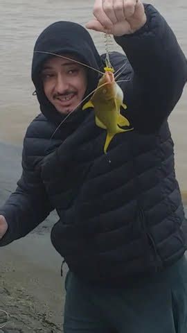 Pesca En Olivos D A Gris Sali Un Amarillo Pesca Fishing Fish