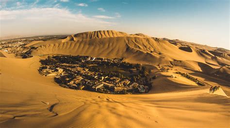 Day Tour From Lima Paracas Huacachina Oasis Peru Hop