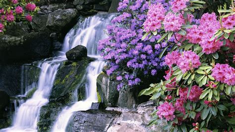 HD Wallpaper Waterfall Free Download