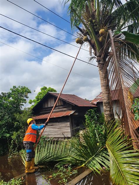 Cegah Gangguan Listrik PLN UP3 Pontianak Rutin Lakukan Pemeliharaan