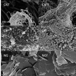 Scanning Electron Microscopy Images Of Pristine And Functionalized