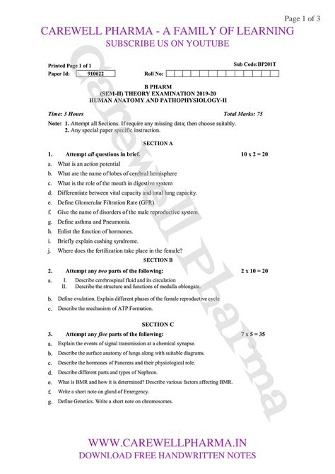 Solution Human Anatomy And Physiology 2 2nd Sem Aktu Previous Year