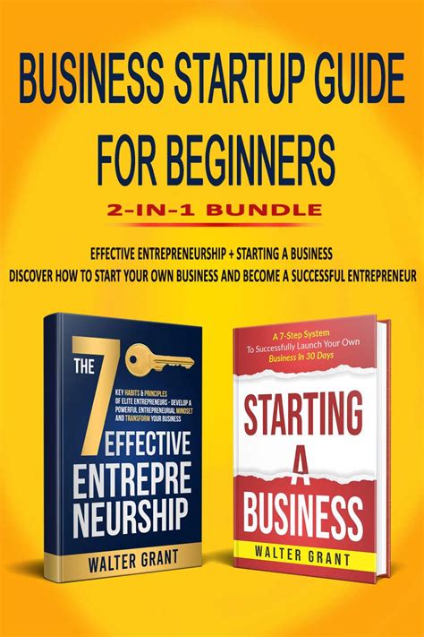 Business Startup Guide For Beginners 2 In 1 Bundle Effective