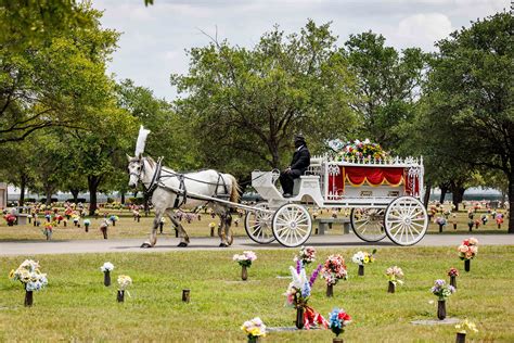 Celebrating Life Meadowlawn Funeral Home