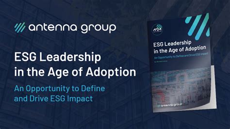 Esg Leadership In The Age Of Adoption An Opportunity To Define And