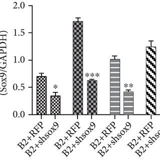 Silencing Sox9 Inhibited BMP2 Induced Chondrogenesis Ac Gene