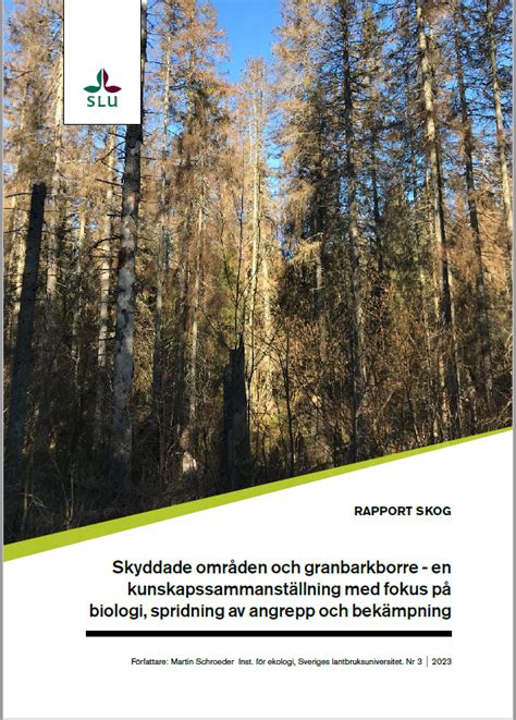 Rapport Skog Kunskap Om Skog Och Skogsbruk Från Slu Externwebben