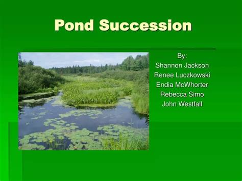 Ppt Pond Succession Powerpoint Presentation Free Download Id6030612