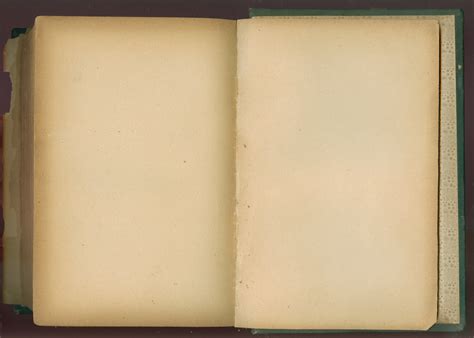 explaurafying - “Write a book!” they said.