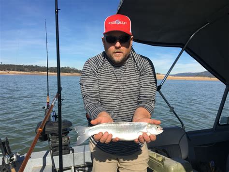 Folsom Lake Fish Reports And Map