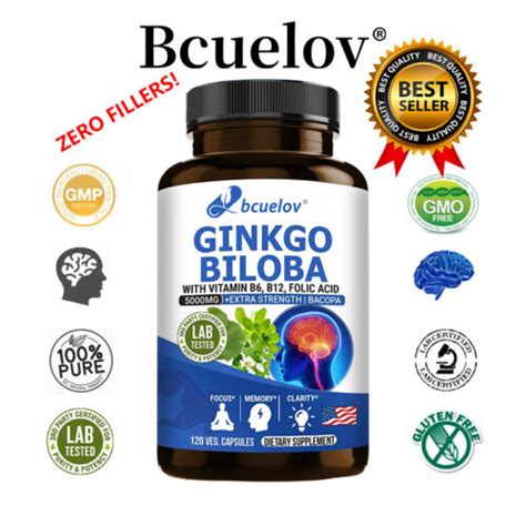 Ginkgo Biloba 5000mg 30 Bis 120 Kapsel Konzentration Gehirn Ginko Gingo