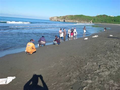 旗津海水浴場遭污染 高市海洋局：今天下午完成初步清除油污 生活 自由時報電子報