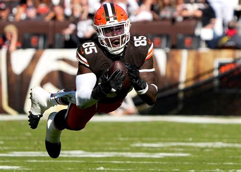 Cleveland Browns 2025 position battle: Tight End | Sporting News