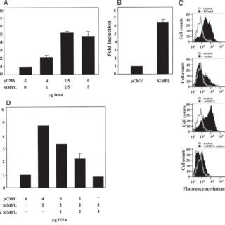 Simpl Induced Nf B Activity Mouse Embryo Fibroblasts Were Transiently