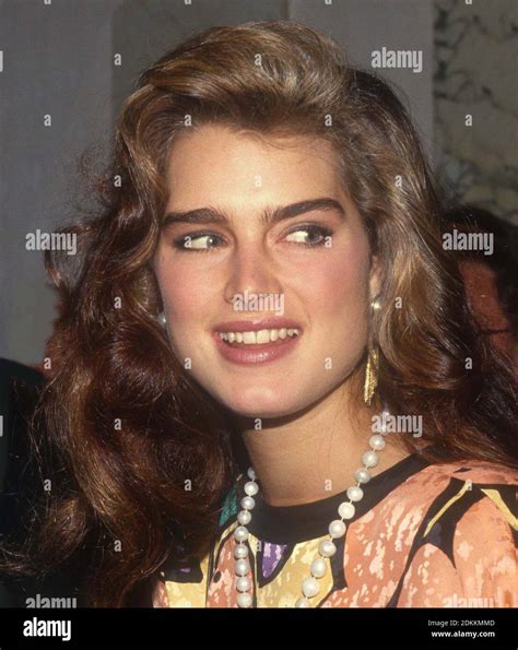 Brooke Shields 1982Photo By John Barrett PHOTOlink MediaPunch Stock