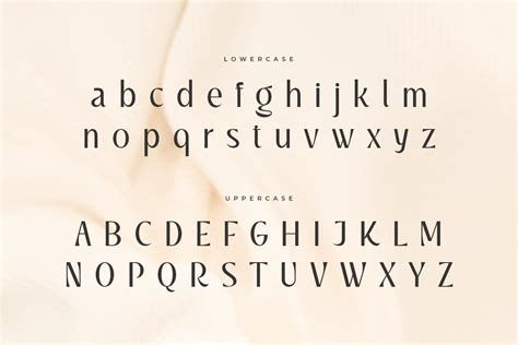 Fancy Font Alphabet