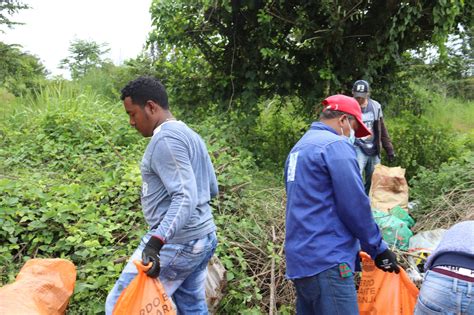 Falta M S Conciencia Ambiental