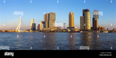 Panoramic view of the skyline in Rotterdam at the sunset. Soft yellow ...