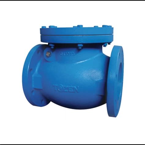 Jual Swing Check Valve Cast Iron 10K 16K PN 16 TOZEN Jakarta Karya