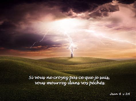 Iris De La Bible Si Vous Ne Croyez Pas Ce Que Je Suis