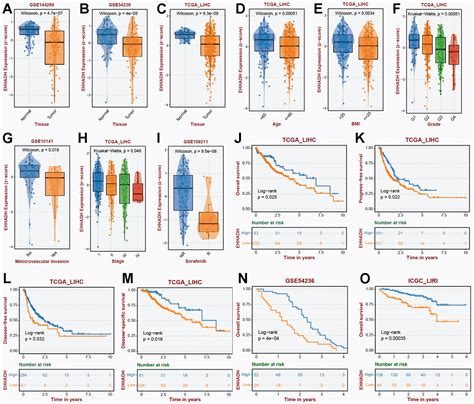 Comprehensive Characterization Of β Alanine Metabolism Related Genes In