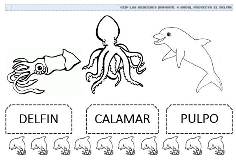 La Magia De Mirar Fichas Extra Del Proyecto Del DelfÍn