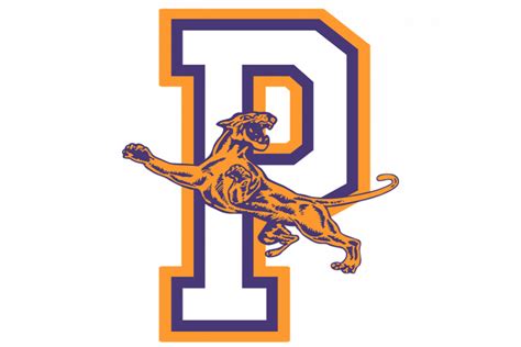 Panhandle Panthers Texas Hs Logo Project