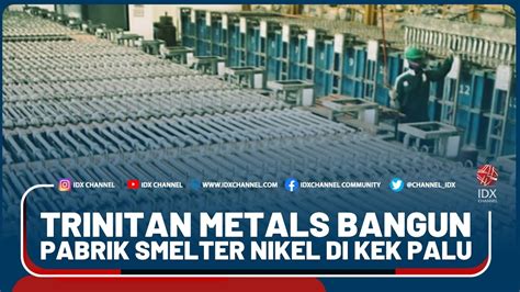 Trinitan Metals Bangun Pabrik Smelter Nikel Di Kek Palu Youtube