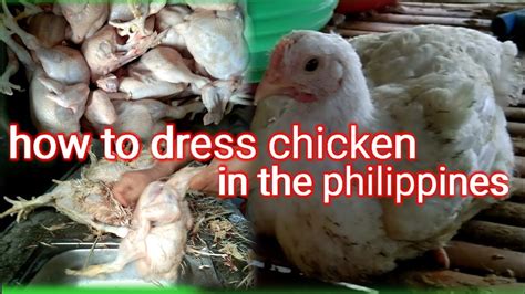 How To Dress Chicken Manually Youtube